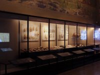 Afrikamuseum-2019-09-26-086