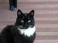 DSC00026
