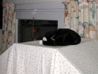 Filou(Oct03)