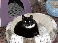 IMG 0020 2