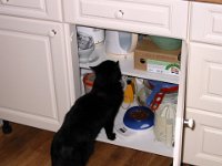 IMG 3734