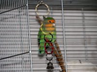 IMG 0005