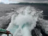 Dag10-020