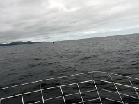 Dag10-022