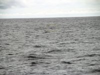 Dag10-027