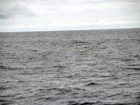 Dag10-032