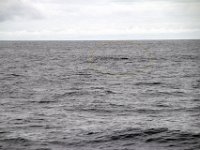 Dag10-034