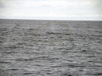 Dag10-035