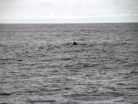Dag10-038