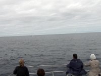 Dag10-042