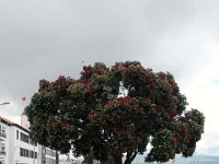 Dag2-087