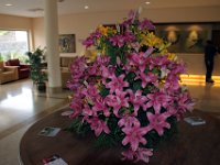 Flora-144