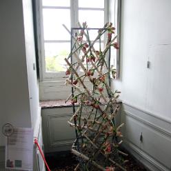 02-Bezoek-058