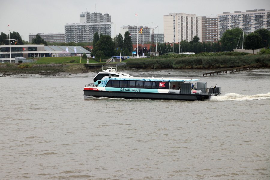 Cruise-2021-044