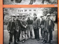 Belvue-100