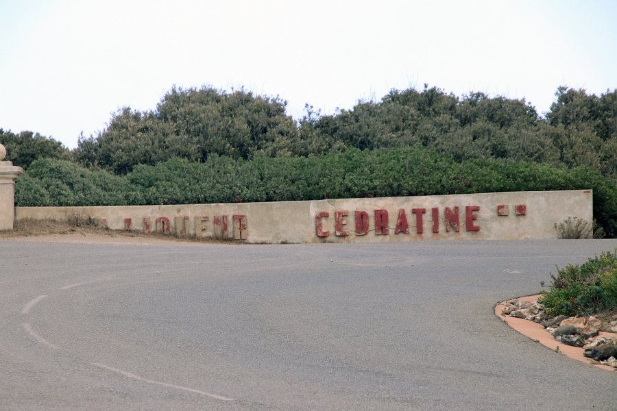 20-09-21-07-003