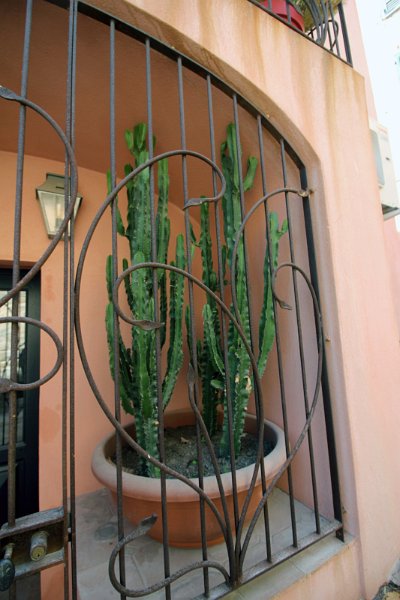 Flora-041