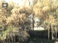 M2U00780