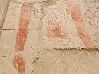 Hatshepsut-41