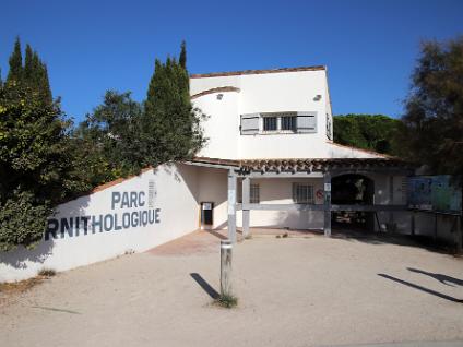 Dag3-Camargue-00001