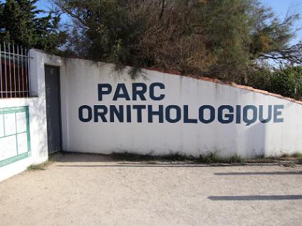 Dag3-Camargue-00002