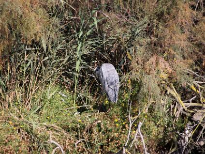 Dag3-Camargue-00007