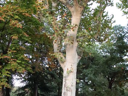 Dag3-Arles-00004