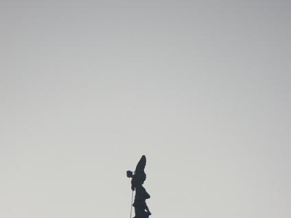 Dag4-Transfer bus-0003