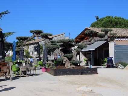 Dag4-Lavender museum-0007
