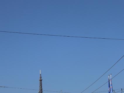 Dag5-Transfer bus-0015
