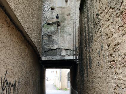 Dag6-Tournus-0015