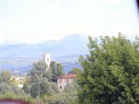 17-006