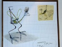 BKZ-2017-1-043