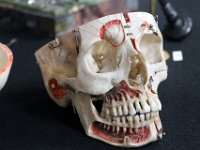 BKZ-2017-3-026