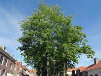 1-041